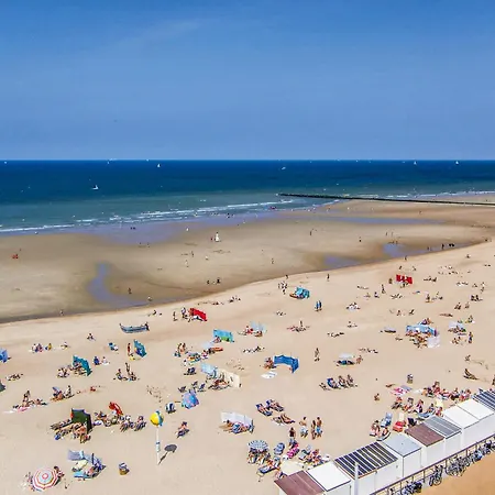 Apartment Cozy In With Wifi